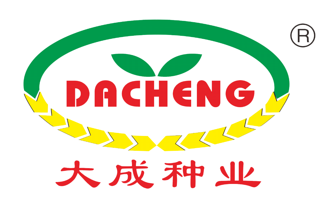 大成种业